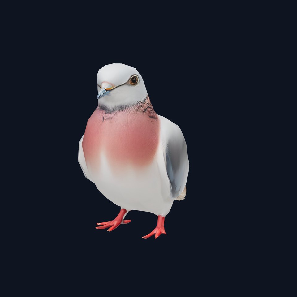 Elegant Pigeon Model Pack